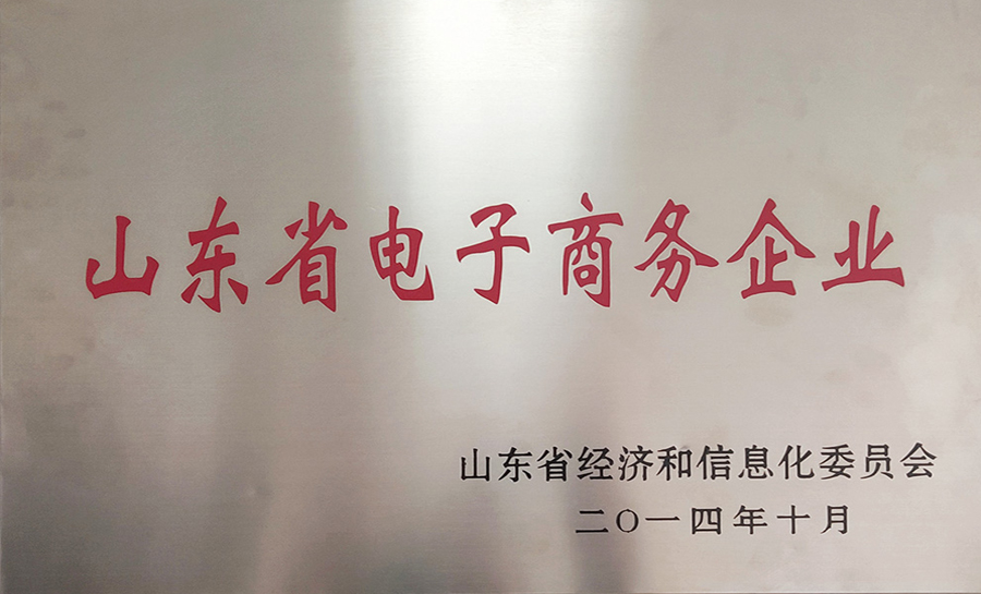 山東省電子商務企業